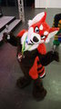 Davey the red panda by doggystylez