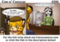 Cat n Cameras Strip #286 - Important Meeting