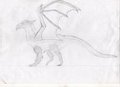 Old drawing