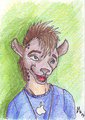 Hyena - Artist Trading Cards