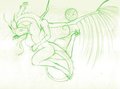 Not Panama - Eastern Dragon Study - Commission