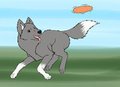 FRISBEEEEEEEEEEEEEEEEE
