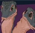 *C*_Double-lizard