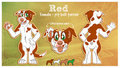 Pit Bull Character Design Commission