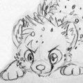 Young cub feral charsheet by ThatWildMary by Salmy