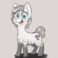 Dawn of the gray horse
