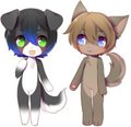Puppies