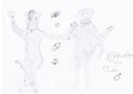 Ref Sheet Nightwalker (clean) by Nightwalker