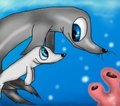Request - Seals by PlagueDogs123