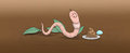 Tiddly Winks the worm C