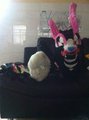 Mah first Fursuit