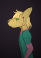Xabel Roo