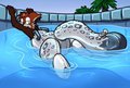 Wrong Pool