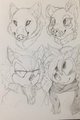 The Black Trio and the WOLF XD 