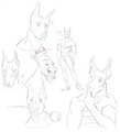 Doggie OC by Chruis