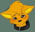 I think this collar is a little too big