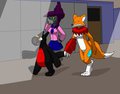 Searching Through The School