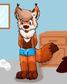 Shy fen