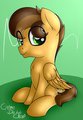 Cute Pony :3 by cremedelaclop