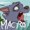 *C*_Big puppeh Rocky