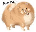 haveuseenapom plzz?
