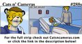 Cats n Cameras Strip #288 - Loss from the past