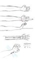 Hand Study/Cybernetics