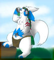 Zack Zangoose (1 of 2)