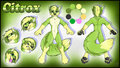 2016 Citrox Reference Sheet (clean) by gard3r