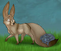 Coming along for the ride by Kyma