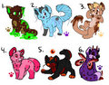 ADOPTABLES : puppies and kittens 2