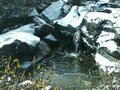 snow falls by slith