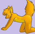 Lookin' for something. by CarrotWolf