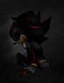 Shadow.exe