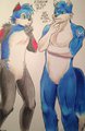 A Tale of Two Sonic Foxes