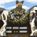  Codename China White Commission