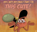 Wander is cute