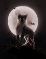 The night can be Scary  by ScaryWoof