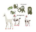 subeta pets by hospice