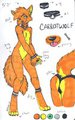 Sketchbook Reference by Ajna by CarrotWolf