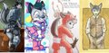 Which Loupy do you prefer ?