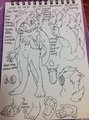 Vonnes reference 