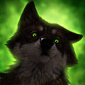 Canis derpus