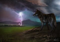 the flow of energy and life by DarkWingo
