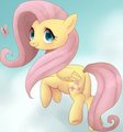 Fluttershy