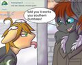 ask silvy 14