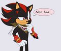 Faker!!! by SonicWind01
