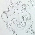 Older cub in training by ThatWildMary