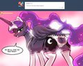 Horse Also Wears The Cat Stuff!