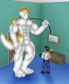 New Pet